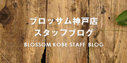 フラワー＆バルーンショップBLOSSOM神戸三宮店ブログ